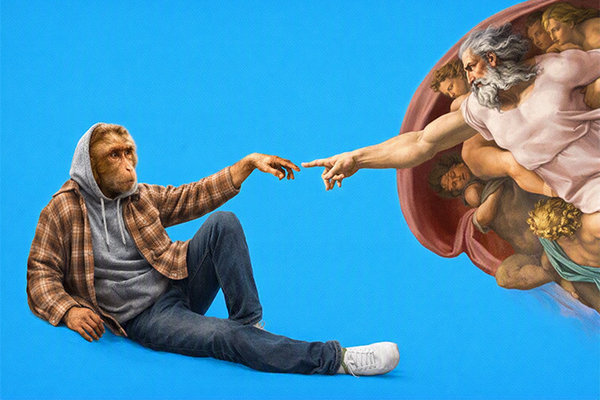 Monkey inspired creative branding illustration